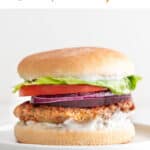 Chickpea burger patty on bun with lettuce, tomato, red onion, and mayo.