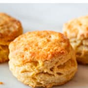 Three vegan biscuits against a white backdrop.