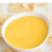 Bowl filled with vegan cheese surrounded by tortilla chips.