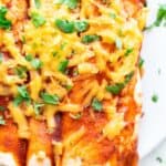 Plate of vegan enchiladas with cilantro.
