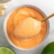 Spoon taking vegan chipotle sauce from a bowl.