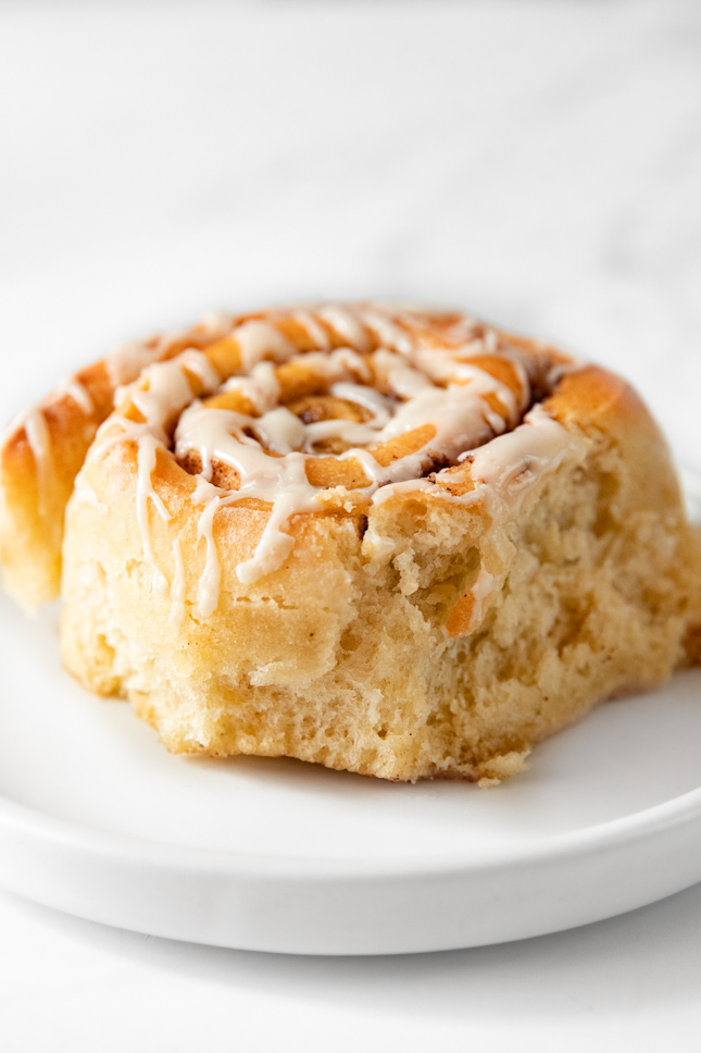 Photo of a vegan cinnamon roll on a plate