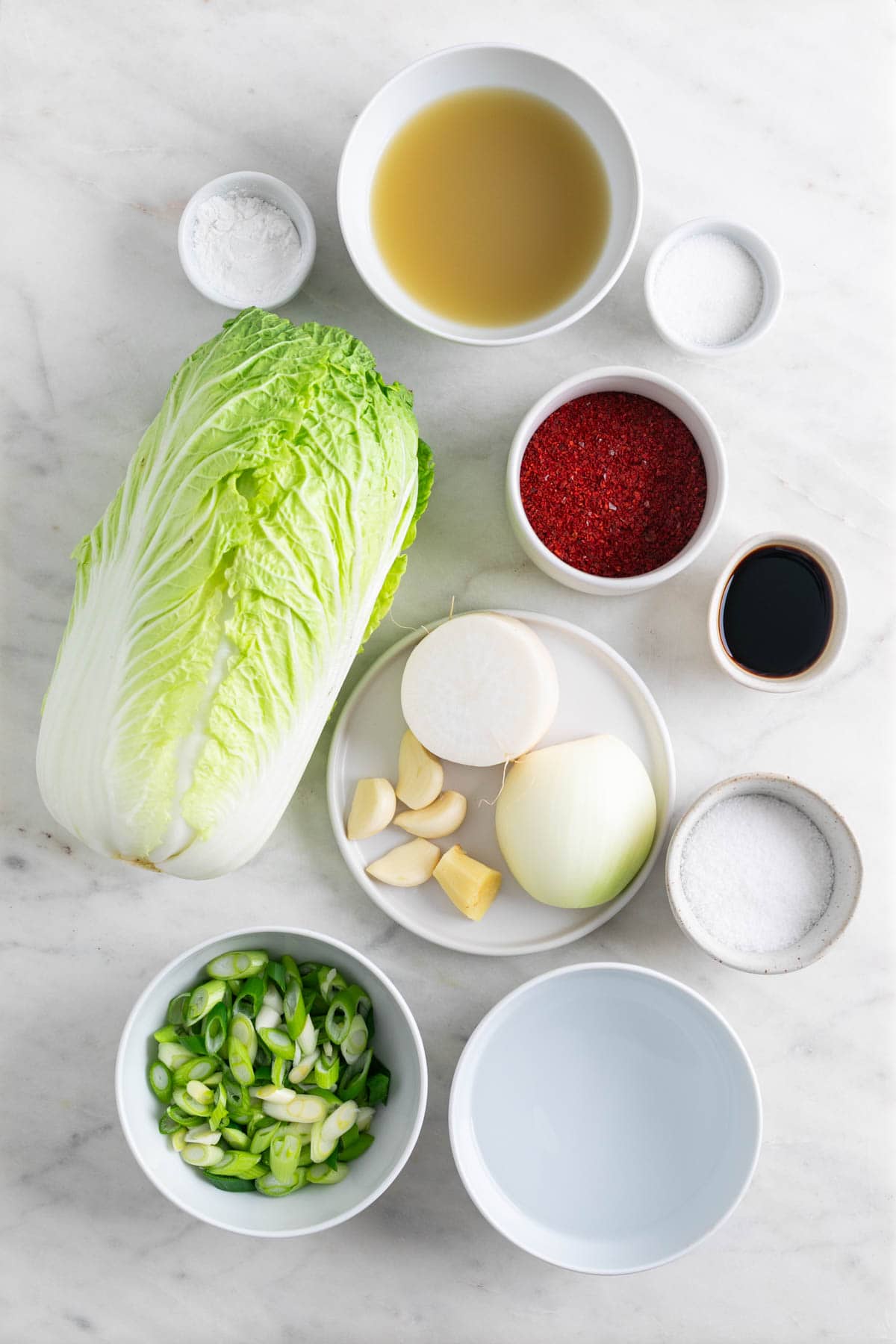 Ingredients for making vegan kimchi.