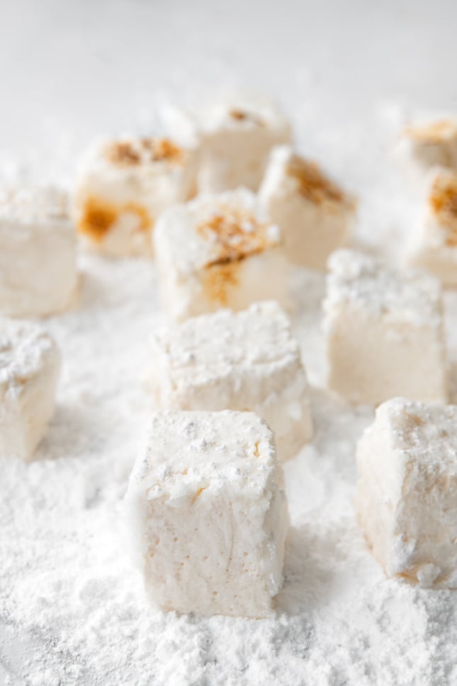 Photo of some toasted and regular vegan marshmallows