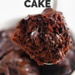 Photo of a spoonful of vegan mug cake with the words vegan mug cake