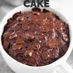 Photo of a vegan mug cake with the words vegan mug cake