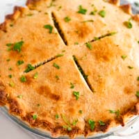 Square photo of a vegan pot pie