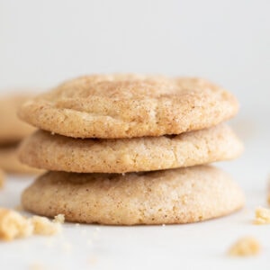 Square photo of a pile of vegan snickerdoodles