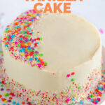 Photo of a vegan vanilla cake with the words vegan vanilla cake